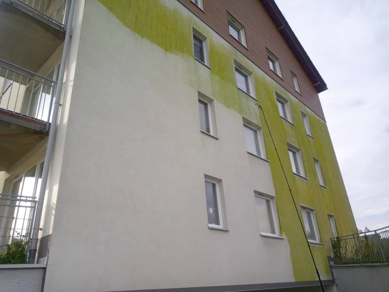 Czysta część elewacji obok zielonego nalotu