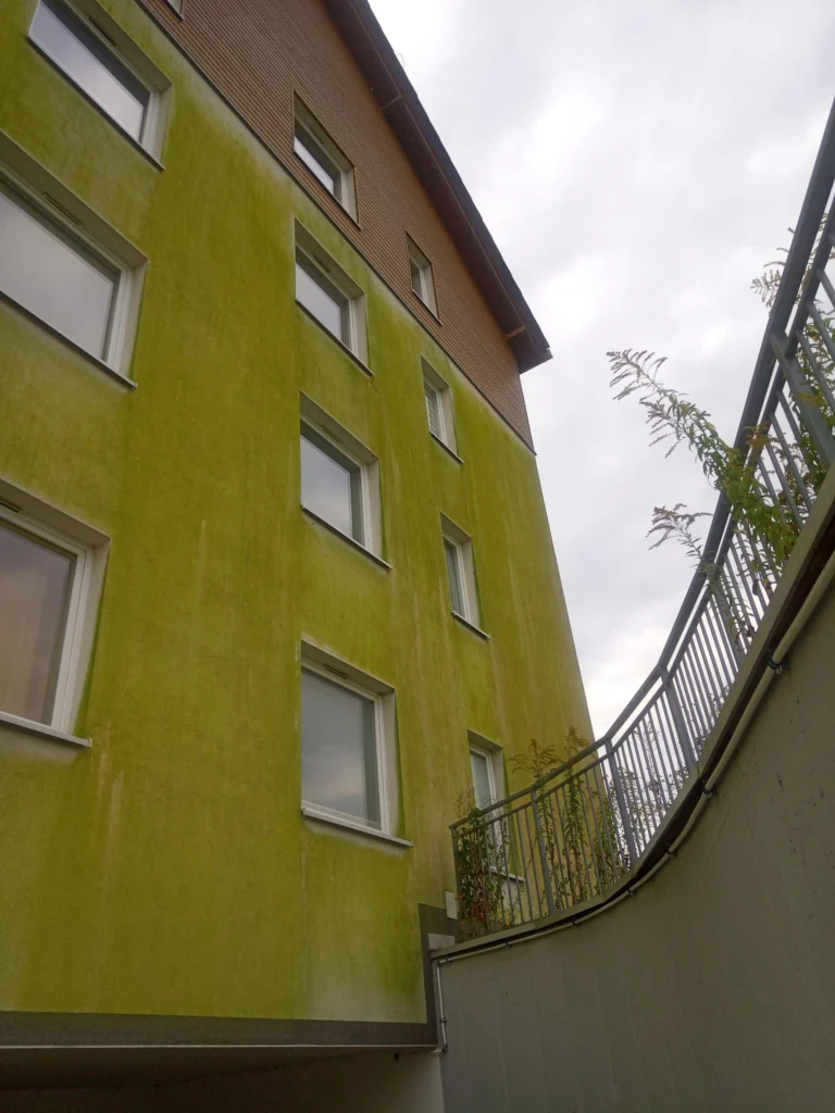 Zielony nalot na elewacji budynku mieszkalnego