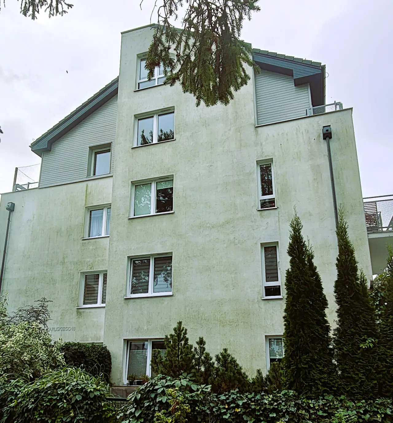 Zielony nalot na jasnej elewacji budynku mieszkalnego w Gdyni przed myciem